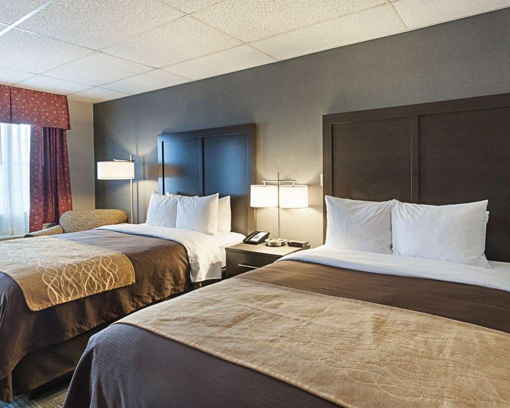 Comfort Inn Ballston Άρλινγκτον Δωμάτιο φωτογραφία
