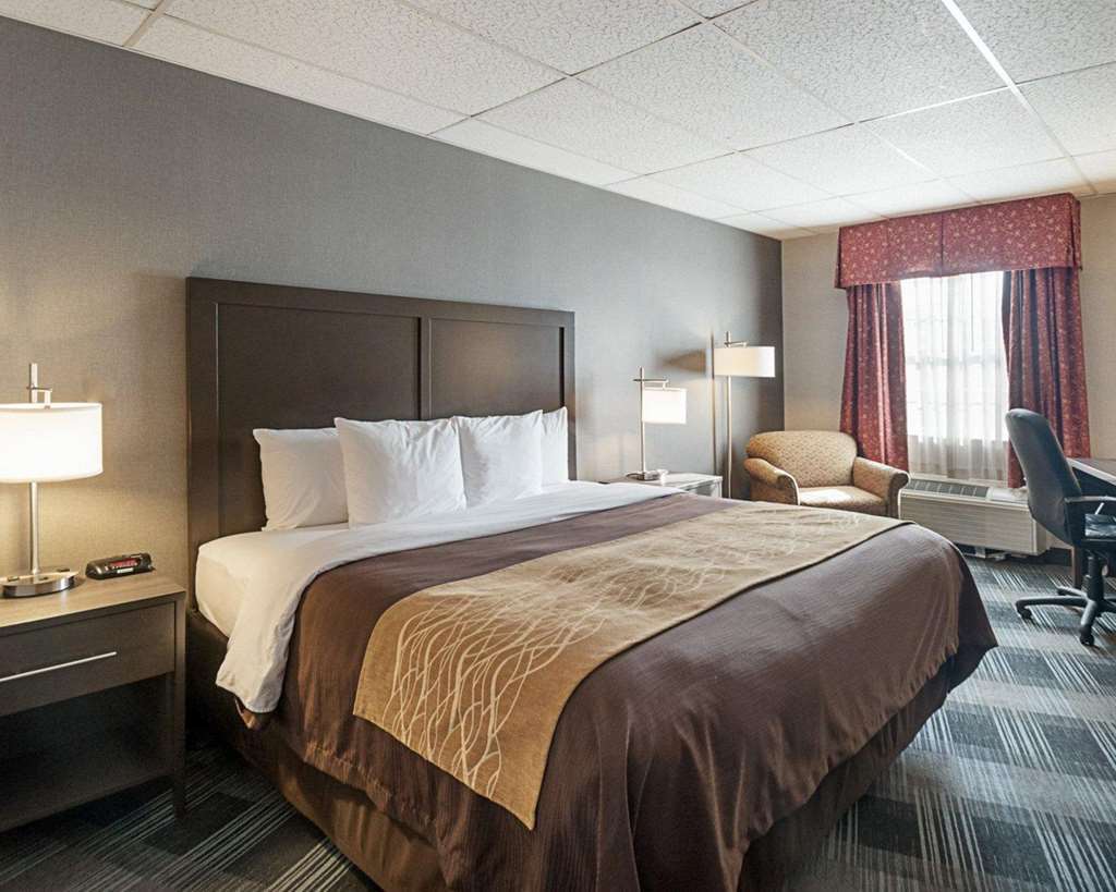 Comfort Inn Ballston Άρλινγκτον Δωμάτιο φωτογραφία